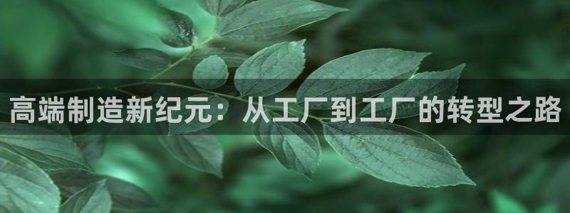 山东华润2娱乐