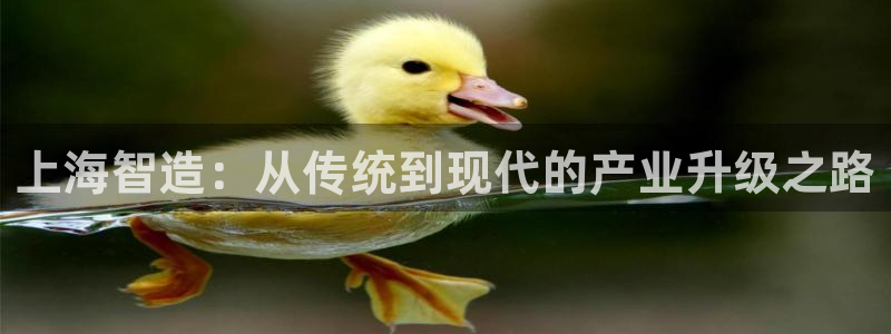 华润娱乐网站