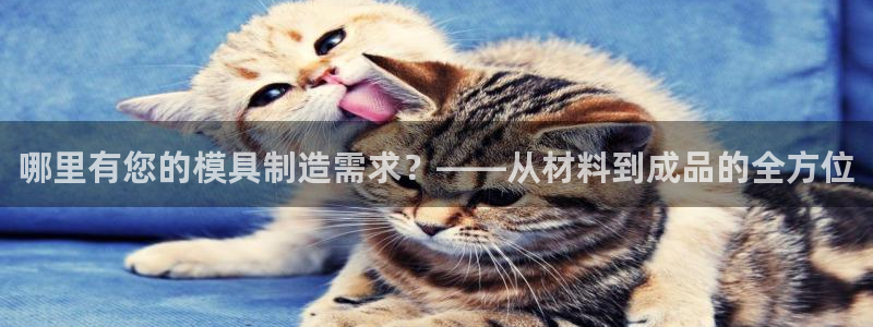 华润2娱乐382223