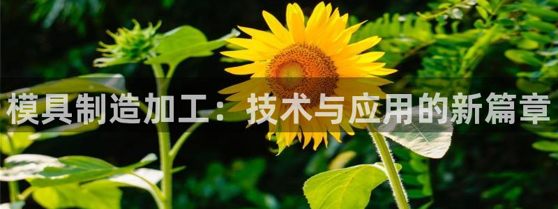 华润娱乐舱122222