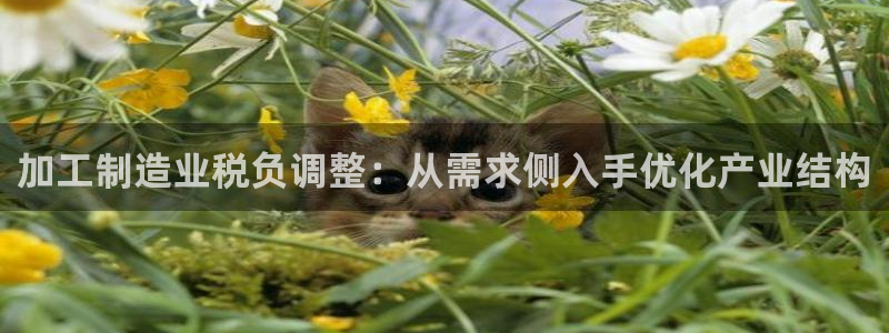 华润旗下娱乐产业有哪些
