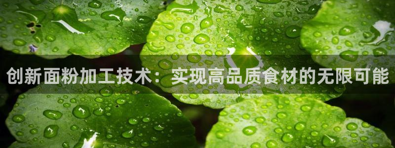 华润电子娱乐