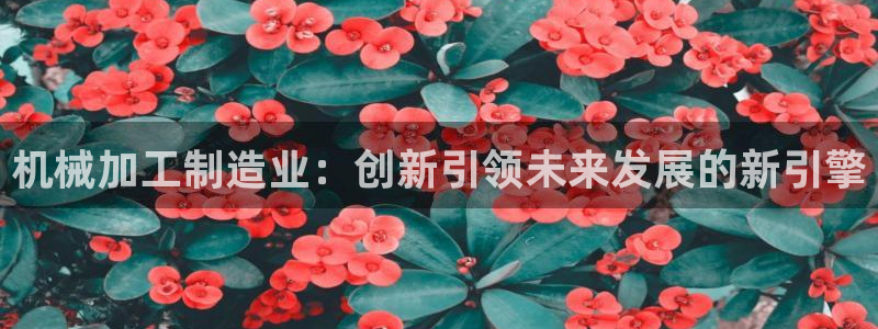 华润娱乐项目