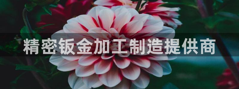 华润娱乐天7O667