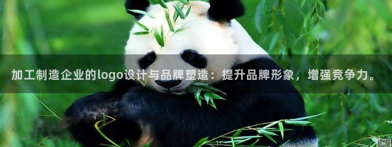 华润娱乐前