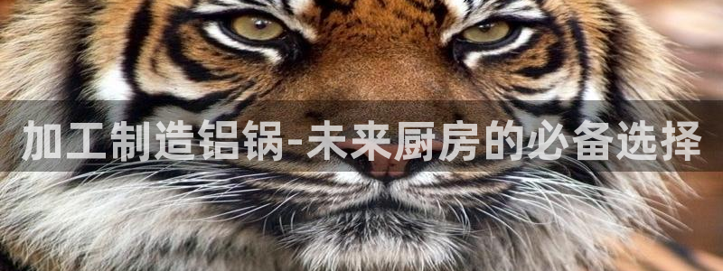 华润娱乐行政招聘面试