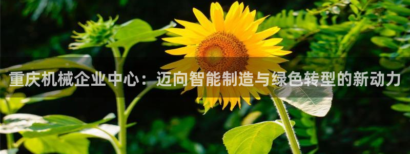 华润娱乐技术q