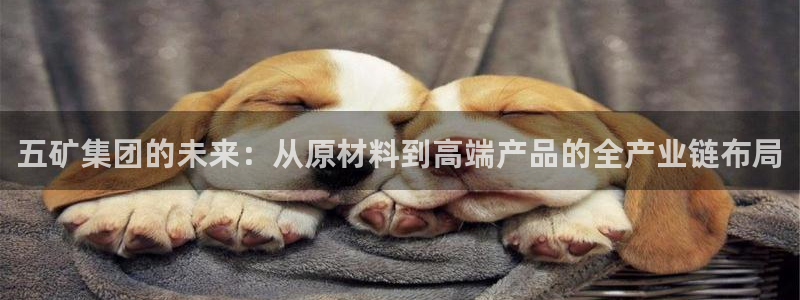 华润娱乐巾67五壹叁八