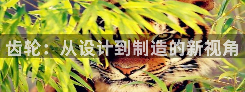 巅峰华润娱乐