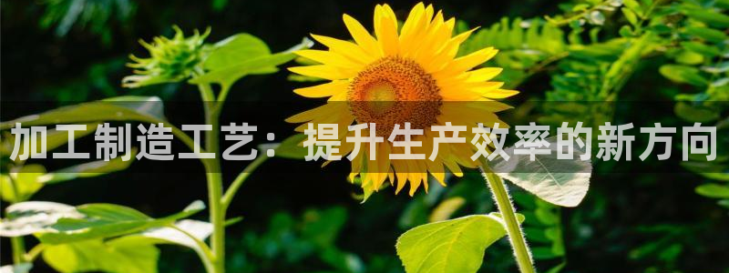 华润娱乐指尖着