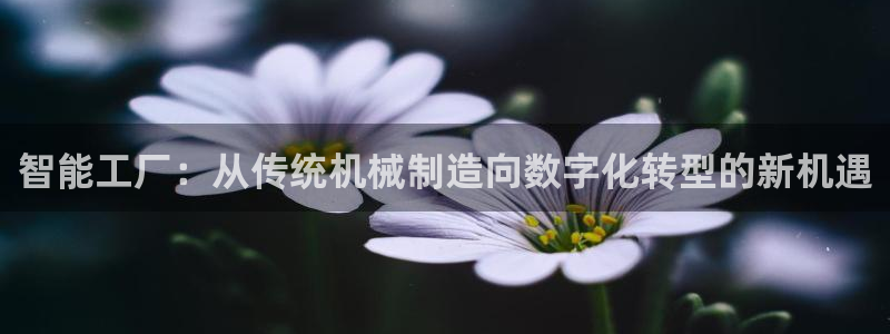 华润悦府娱乐