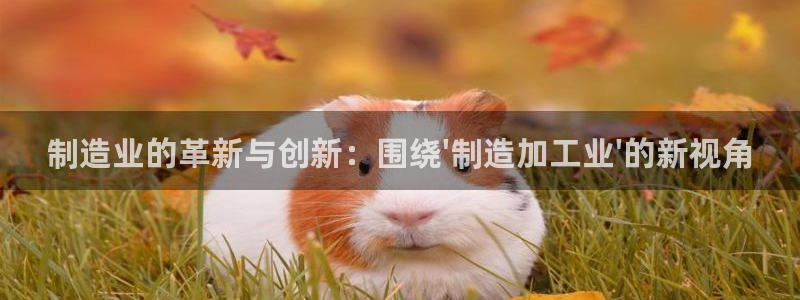 华润-华润娱乐注册招商
