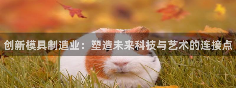华润娱乐行政招聘面试