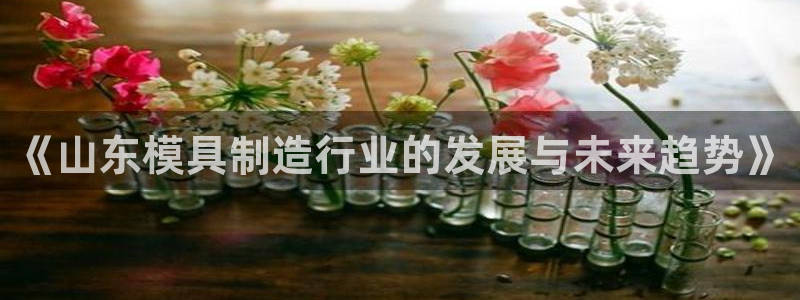 华润娱乐前