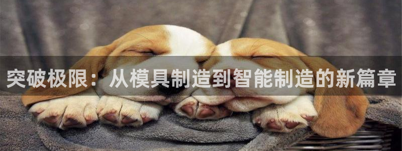 华润旗下娱乐产业