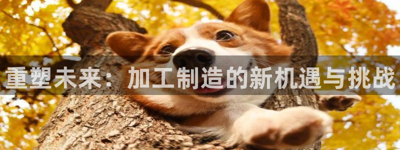 华润娱乐f3指尖