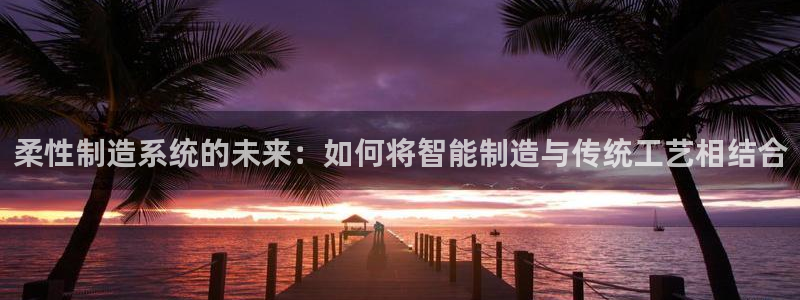 华润娱乐招商