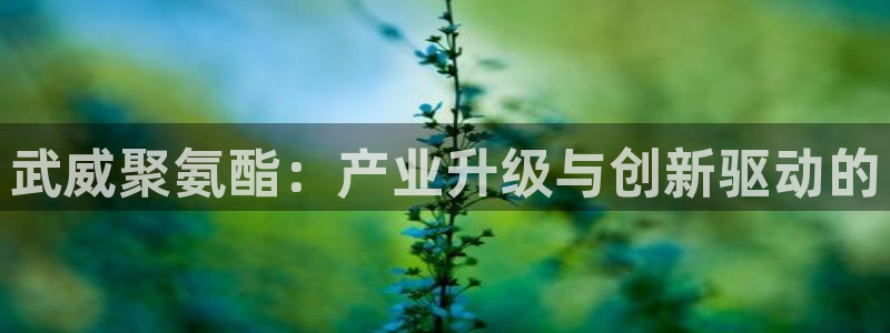 华润娱乐地7O667
