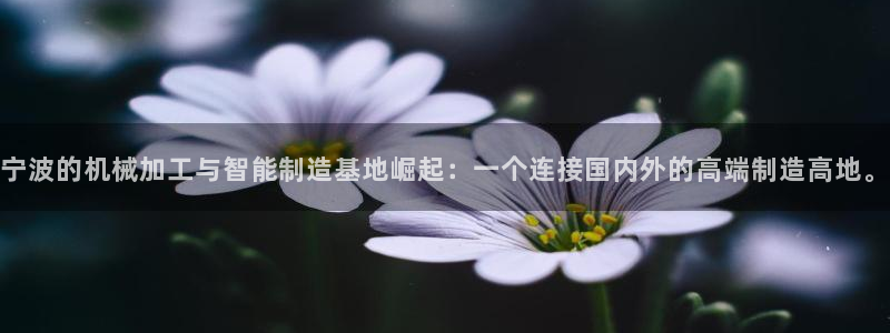 华润2娱乐网站