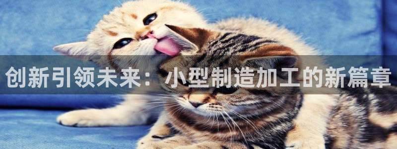 华润娱乐首荐46996