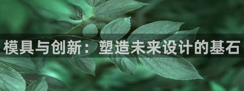 上海华润金丰娱乐娱乐