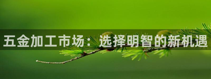 华润集团娱乐公司