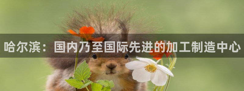 华润娱乐找382223