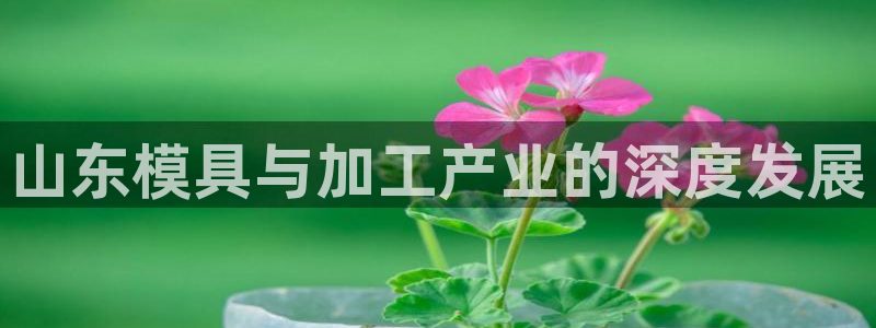 华润娱乐平台登