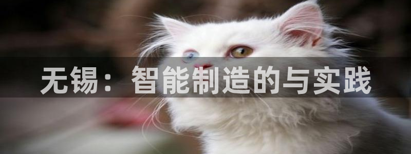 华润娱乐罢92222