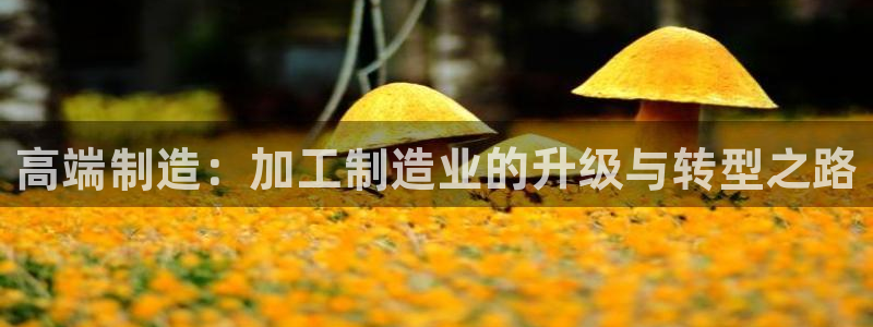 华润娱乐贴吧官网