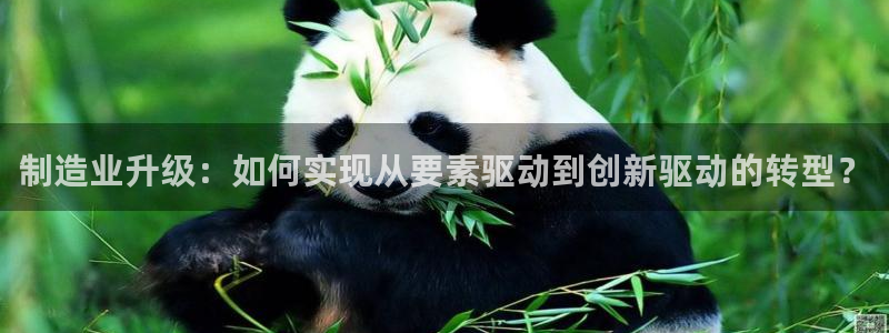 华润2娱乐招商主管